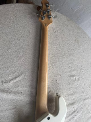 LAKLAND 5 CUERDAS