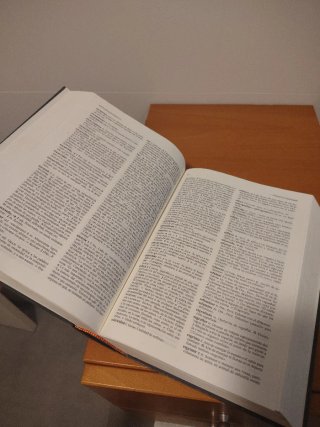 Diccionario de uso del español