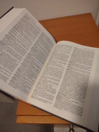 Diccionario de uso del español
