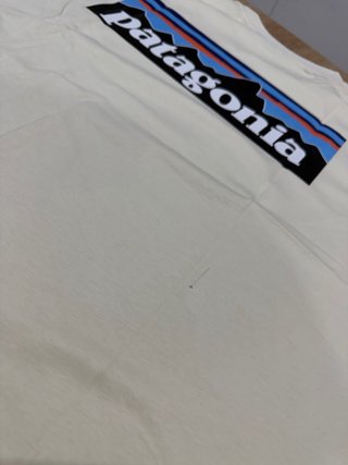 Camiseta de patagonia