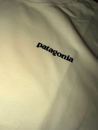 Camiseta de patagonia
