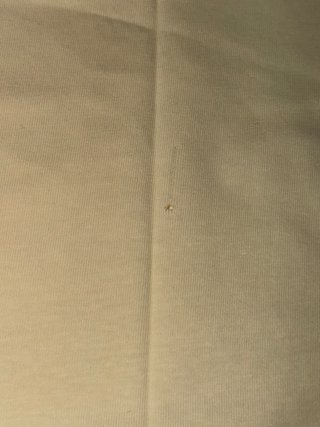 Camiseta de patagonia