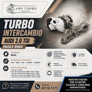 TURBO INTERCAMBIO AUDI 2.0 TDI MAHLE BM60
