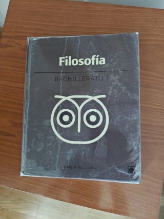 Filosofía, Bachillerato 1