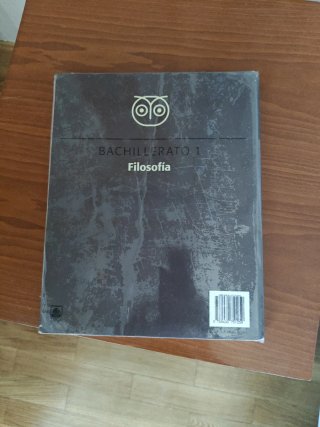 Filosofía, Bachillerato 1