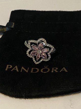 Anillo Pandora