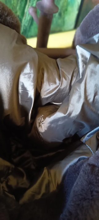 Chaquetón piel sintética.Impecable.Ligero, amoroso