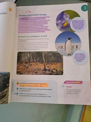 Coneixement del Medi, 6 Primària, Projecte Cons...
