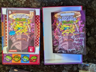 Tmnt turtles shredder's revenge switch
