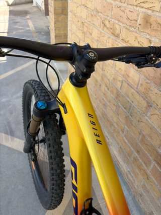 Giant Reign 29