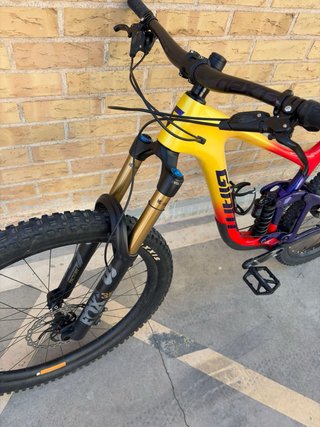 Giant Reign 29