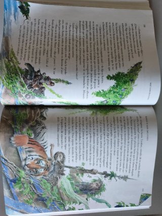 14. Metamorfosis