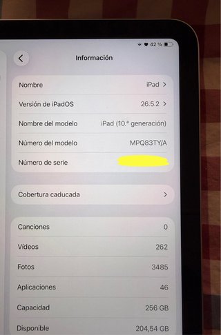 IPad 10th gen 256GB