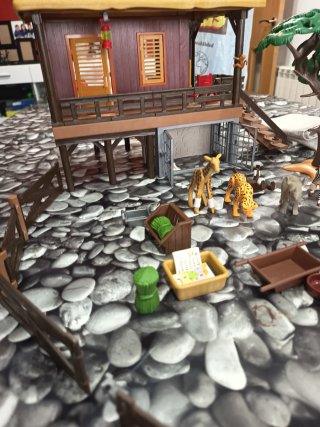 Casa de Playmobil safari
