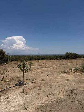 Terreno la Selva del Camp