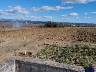 Terreno la Selva del Camp