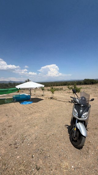 Terreno la Selva del Camp