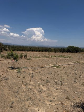 Terreno la Selva del Camp