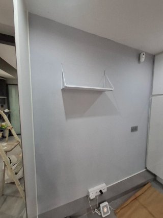 Pintor Profesional