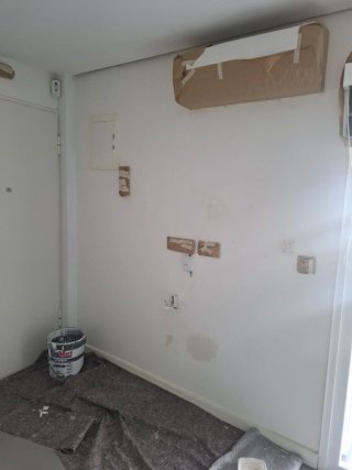 Pintor Profesional