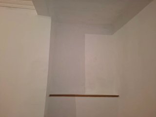 Pintor Profesional