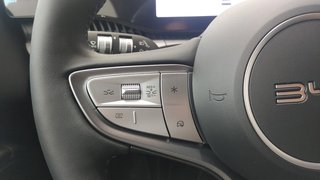 BYD Dolphin G 2026