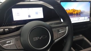 BYD Dolphin G 2026