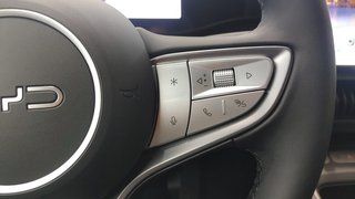 BYD Dolphin G 2026