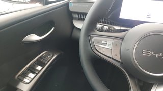 BYD Dolphin G 2026