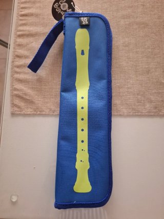 Funda de flauta
