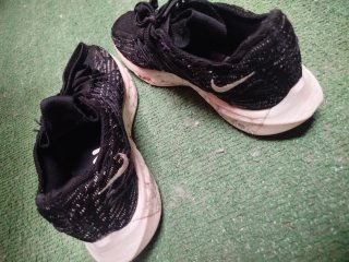 Zapatillas Nike Pegasus Turbo Nature 36'5 Xzoom
