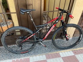 Specialized Epic FSR 29” Brain
