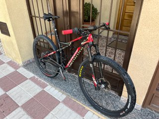 Specialized Epic FSR 29” Brain