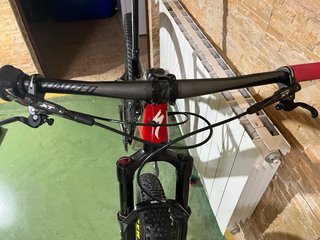 Specialized Epic FSR 29” Brain
