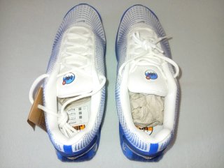 Zapatillas Nike Air Max DN ''Platinum Royal''