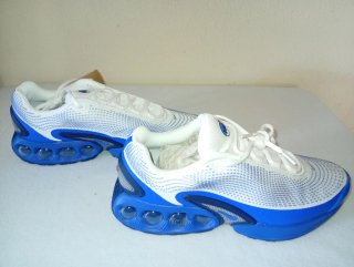 Zapatillas Nike Air Max DN ''Platinum Royal''