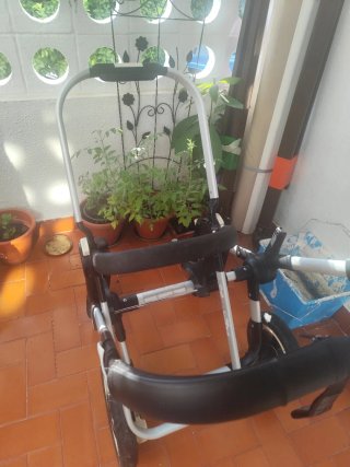 Se vende Bugaboo donkey con dos sillas y un capazo