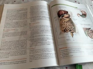 Libro biología y geología 1 de bachiller Anaya