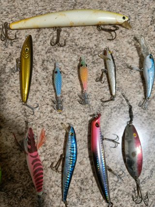 18 esche da pesca