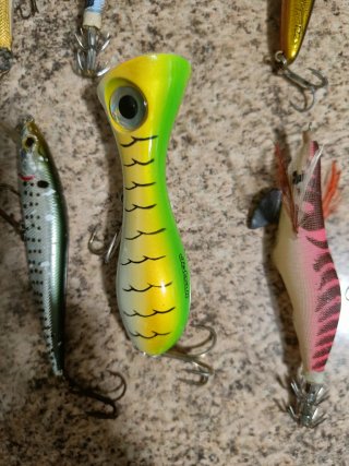 18 esche da pesca