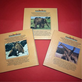 Pack Libros Animales Salvajes