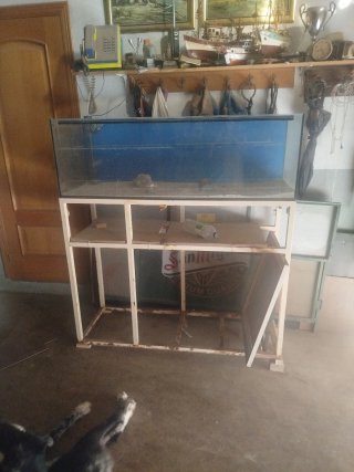 Cambio Pecera por algo que me interese