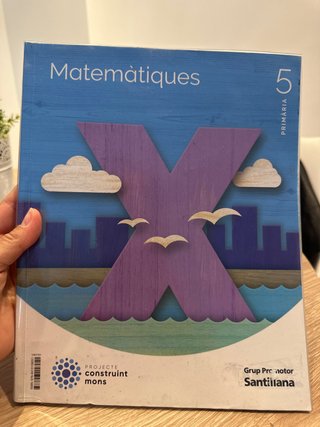 MATEMATIQUES 5 PRIMARIA CONSTRUINT MONS