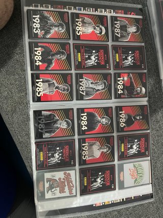 Stranger things panini álbum cartas.