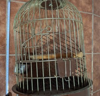 Jaula de loros de acero  muy resistente 60 cm