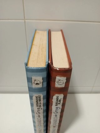 Libros Diario de Greg 6 - 7