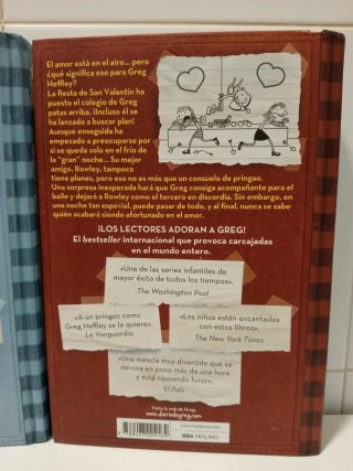 Libros Diario de Greg 6 - 7