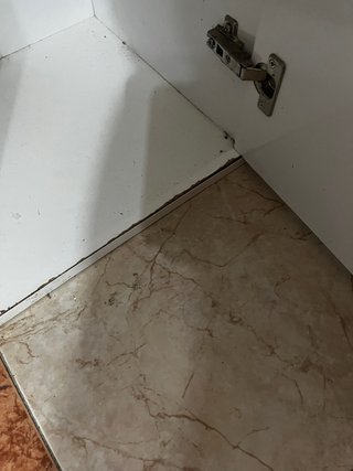 Mesa acuario