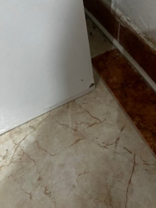 Mesa acuario