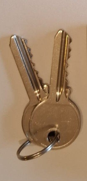 Lucchetto arco ottone 50 mm con 2 chiavi